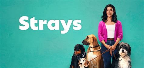 Strays streaming - Watch the trailer and see the cast of Strays, a movie about a dog who gets revenge on his former owner with the help of other strays. The movie is rated R for language, sexual content and drug use.